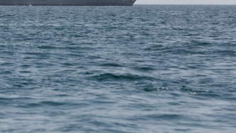 美军称击沉一艘伊朗船只