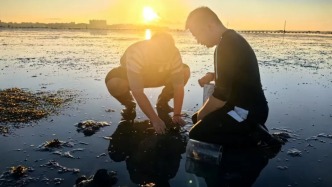 在海面之下，也有一场“春耕”