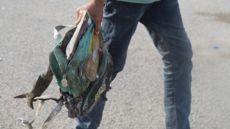 “两伊战争中也未见过！”上百孩童惨死校园，护士抱起病人战火中转移