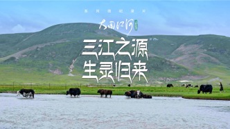 大國江河｜三江之源，生靈歸來