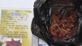 陕西一团伙在多个车站附近销售肾阳草时实施诈骗等活动，法院公告集中退赃