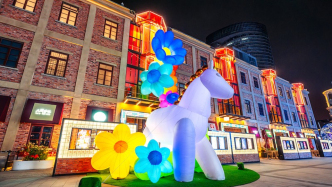 马年元宵，上海哪里可以赏灯逛市集