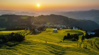 春暖中国｜万物生辉时：鲜花次第开，芬芳入画来