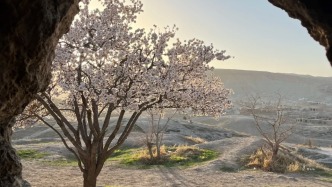 战火10公里外的中国人，“原来活着只需要一块地毯”