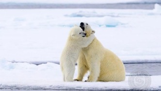 揭曉 | 2025年葡萄牙若昂·塔博達(dá)國(guó)際攝影大賽（自然組）獲獎(jiǎng)公布