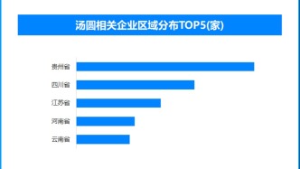 從節(jié)慶點心到日常美味：湯圓產(chǎn)業(yè)的場景擴容與品質(zhì)升級