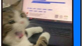 打工人求职顶配：国企风大厂？