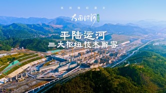 大國(guó)江河｜平陸運(yùn)河三大樞紐技術(shù)解密