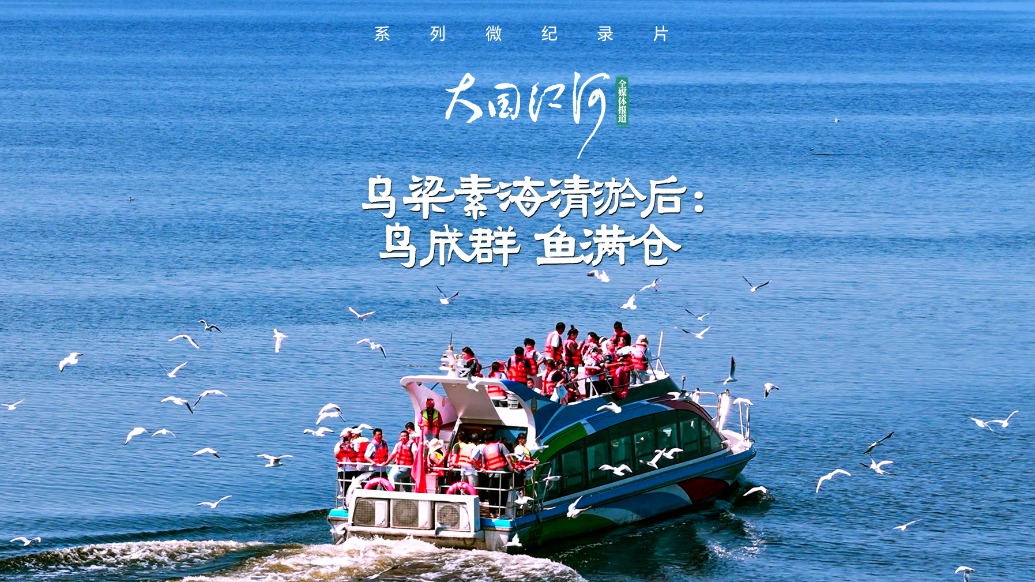 大國江河｜烏梁素海清淤后：鳥成群，魚滿倉