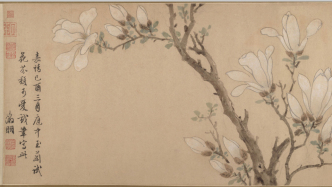 诗画节气｜一声惊蛰，满树辛夷