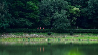 環(huán)境保護法等10部法律將納入生態(tài)環(huán)境法典