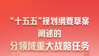 “十五五”規(guī)劃綱要草案闡述的分領(lǐng)域重大戰(zhàn)略任務(wù)