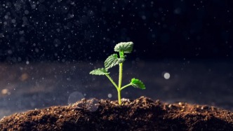 惊蛰：低谷期，就是你的改命期