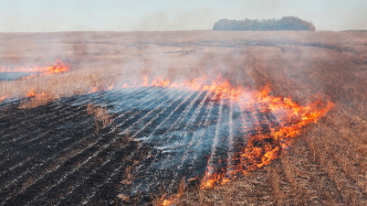 馬上評｜用法治化解“禁燒秸稈”爭議