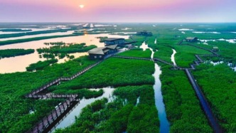 推進(jìn)世界級生態(tài)島建設(shè)，李峻代表談崇明如何推動(dòng)好生態(tài)轉(zhuǎn)化為好經(jīng)濟(jì)