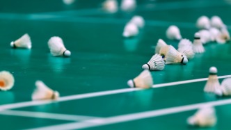 原料价格回落叠加人造球升级，羽毛球涨价潮终于止步回调