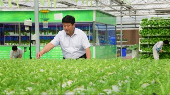 对话临沂市委书记张宝亮：在长三角蔬菜市场站稳后的“下半场”
