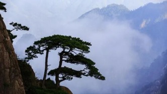 财政部原副部长迟海滨逝世，享年94岁