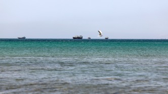 国际海事组织：霍尔木兹海峡船只遭袭造成海员4死3重伤
