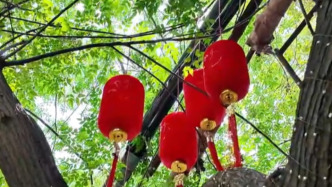 戴斌委员谈国内旅游宣传同质化：到处都是“想你的风”、冰箱贴