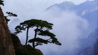 中南大学湘雅二医院骨科专家李贺君逝世，曾参加首批援塞拉利昂医疗队