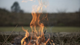 四川曝光五起违规野外用火案例，其中一管理单位被罚款两万元