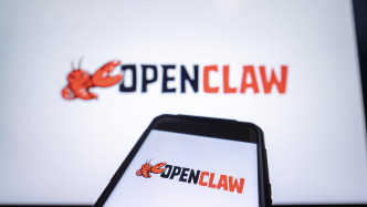 “龙虾”狂欢③深圳龙岗拟推“龙虾十条”，“一人公司”项目最高1000万元股权投资支持