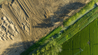 最高检报告：去年起诉非法占用农用地犯罪4089人