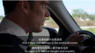 “前额叶友好型”人格，成了年轻人择偶新标准？