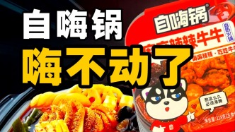 自嗨锅大败局：明星捧红，资本奶大，市场抛弃