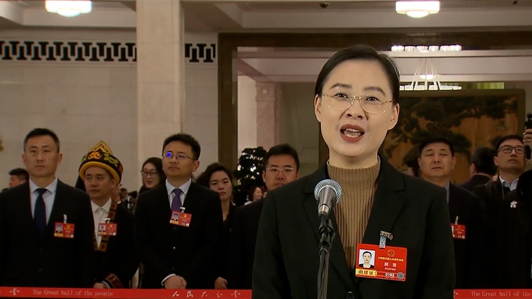 顾雪代表:河北承接京津养老项目疏解,老人在河北可以医保直接结算