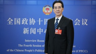 两会专访丨用AI写作业、批改作业，边界在哪？徐玖平委员解析