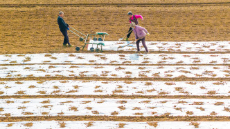 農(nóng)業(yè)農(nóng)村部部長(zhǎng)韓?。何覀冏龅搅恕爸袊?guó)糧”主要用“中國(guó)種”