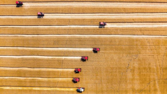 习近平的两会时间丨“搞农业要把种业搞上去”