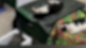 小区内多只流浪猫死亡，武汉市青山区警方开展调查
