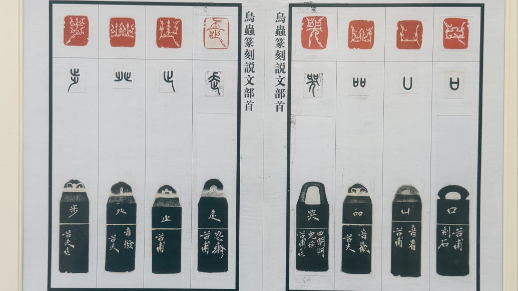 540 方印章刻尽汉字部首，用鸟虫篆印刻的汉字太美了