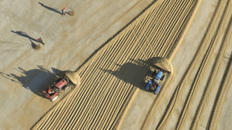 全国秋粮累计收购超3亿吨