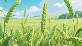 总书记的两会关切丨习近平笑着说，“我记住你的名字了”