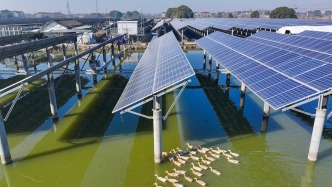 以正确政绩观推动实现“十五五”良好开局（树立和践行正确政绩观）