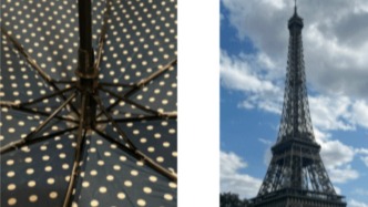 雨伞的数学知识——AMS美国数学会专栏