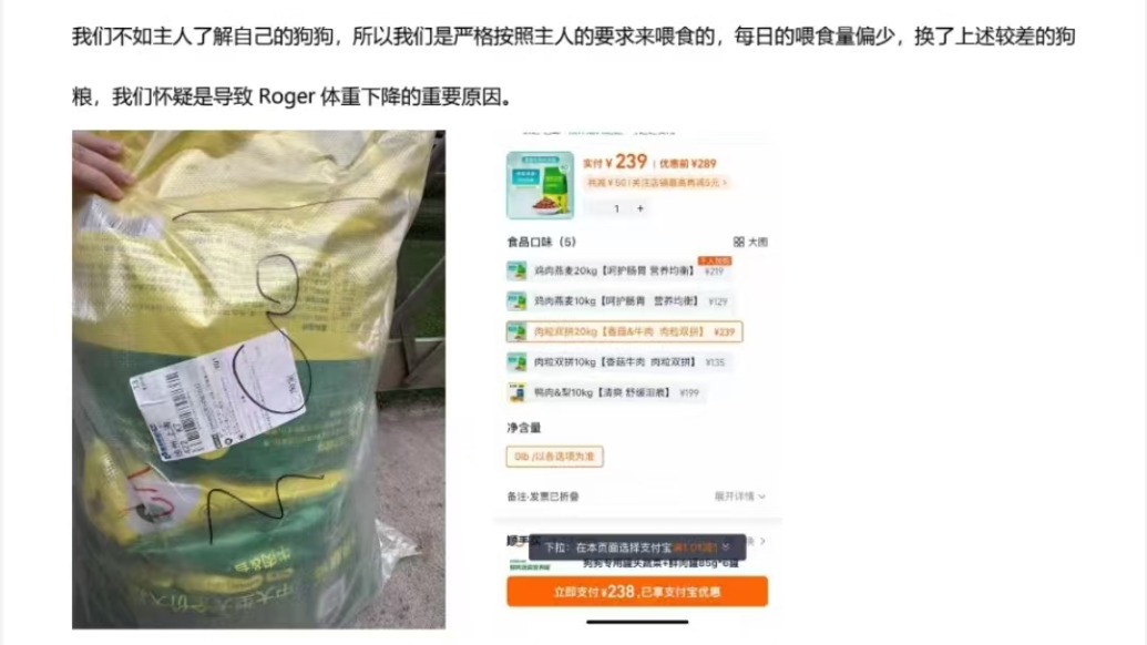 315｜5歲金毛長期寄養(yǎng)期間發(fā)病身亡，“寵夕夕”否認照顧不當