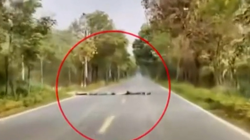 广东清远4名儿童排成一列躺在马路中央，镇政府：已对他们进行安全教育