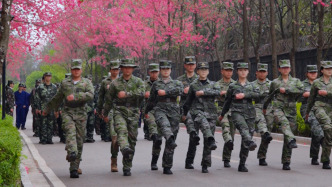 当“迷彩绿”遇上“樱花粉”！樱花盛开，高校学生在树下训练氛围感拉满