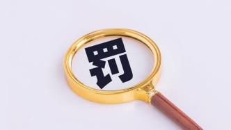 福建省典当行业协会未换届及更换法人登记证书，民政厅公告送达拟处罚告知书