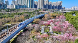 2月份全国城市轨道交通完成客运量21.7亿人次