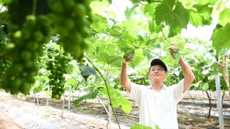 兩會深觀察｜制定實施城鄉(xiāng)居民增收計劃，讓錢袋子更鼓