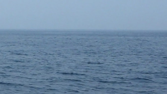 一艘货船在霍尔木兹海峡遭袭