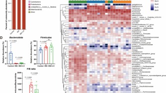 Nat子刊：刘文君等揭示乳酸菌素片如何通过调菌抗炎缓解肠易激