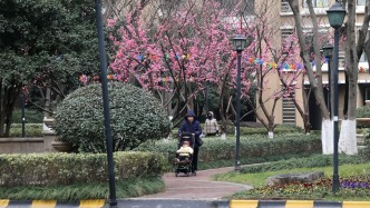 代表建議將《物業(yè)管理條例》修改為《物業(yè)服務條例》