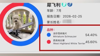 315｜消費者稱花費六千元購買純種西高地犬被騙，商家稱正常情況下合同會寫明“混血”